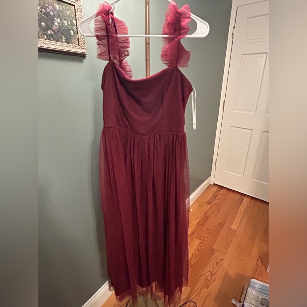 Elegant Burgundy Tulle Dress